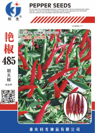 科光种苗“艳椒485”辣椒、“秋实1号”甘蓝分别入选2025年农业主导品种、农作物优良品种推广目录